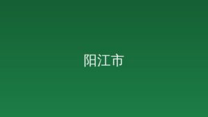 一图读懂《阳江市2026年优化国际化营商环境方案》