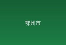 聚力攻坚花湖机场建设提速 孙兵主持召开市委专题会议-远见网