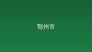 聚力攻坚花湖机场建设提速 孙兵主持召开市委专题会议