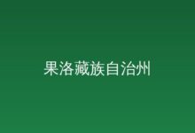 海外版“一网通办”-远见网