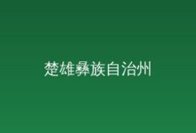 楚雄州人民政府关于印发楚雄彝族自治州国民经济和社会发展第十五个五年...-远见网