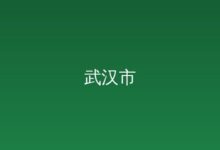 市科创局关于脑机接口领域武汉市技术创新中心拟认定名单的公示-远见网