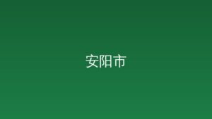 袁家健调研重点项目建设工作