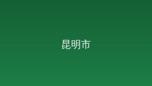 政府采购及购买服务