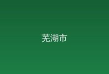 芜湖市科技招商分队参加第四届安徽省科交会-远见网