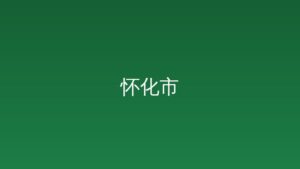 推动箱包皮具产业做强做优 怀化政银企担“一起益企”