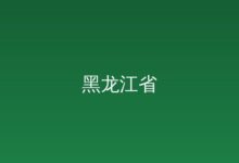 市政府公报-远见网