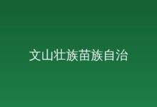 把对口援疆的深情大爱永镌于心 2026-04-30-远见网