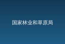 申报指南-远见网