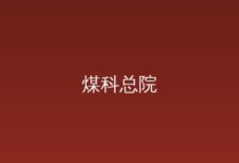 上市公司-远见网
