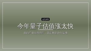 “今年量子估值涨太快”