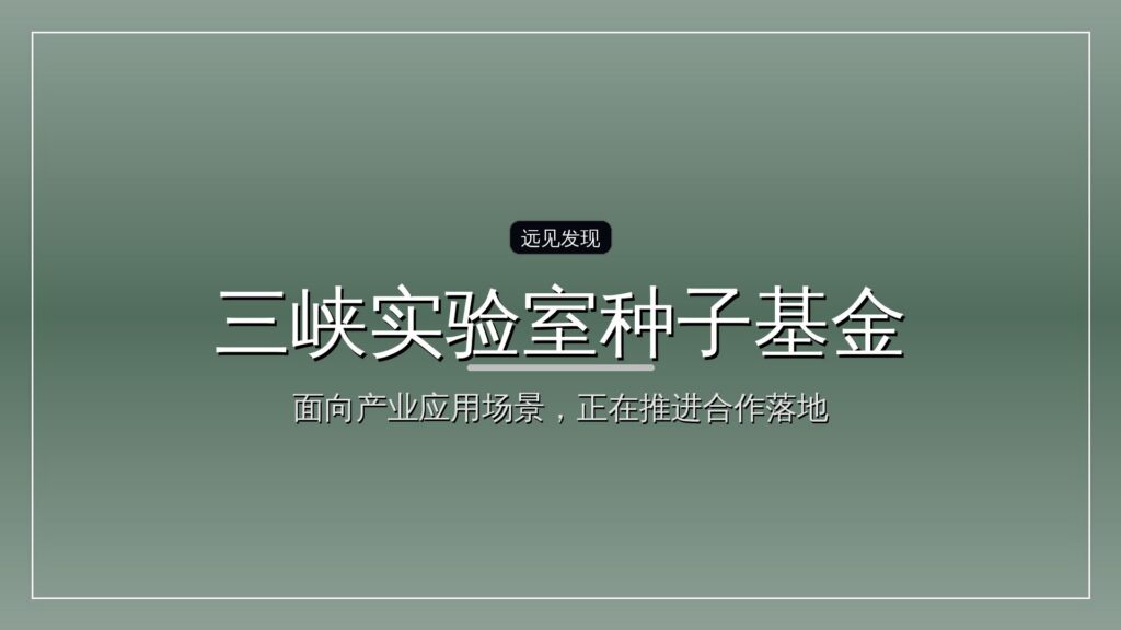 三峡实验室种子基金完成落地-远见网