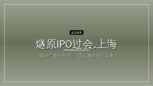 燧原IPO过会,上海国资赚翻了