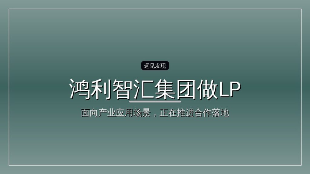鸿利智汇集团做LP-远见网