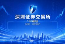 *ST威领:关于重大诉讼的公告-远见网