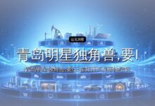青岛明星独角兽,要IPO了-远见网
