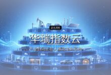 华瑞指数云再获超亿元融资-远见网